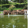 Finca Encanto - Imagen 12